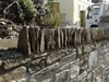 Stone soldiers.