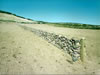 BOUNDARY DRY STONE WALL